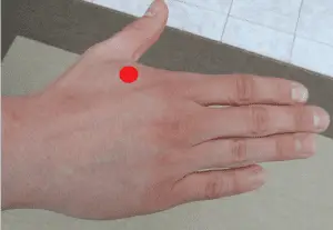 Acupressure - Point 2 (Union Valley)