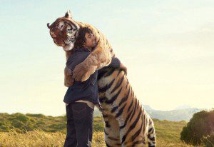 Can a Hug a Day Keep Infection Away