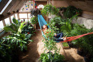 Greenhouse of the future 