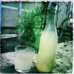 Homemade Ginger Ale Recipe