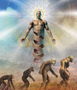 Humanity's DNA Heritage