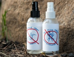 Make Your Own Bug-Away Spray 2