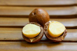Move Over Coconut, Macadamia is the New Health Superstar 2