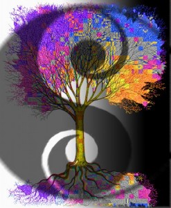 Individuality and Limitations of 3D Thinking - As Above So Below