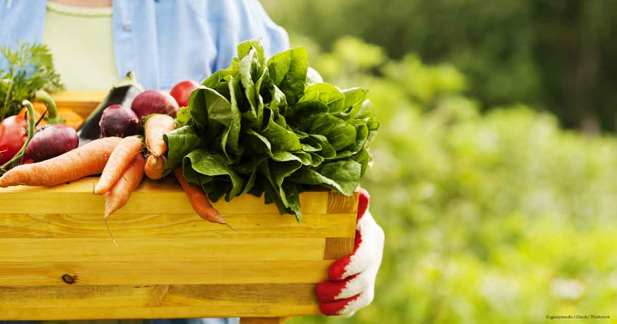 Here's What Happens When You Eat 100 Percent Organic
