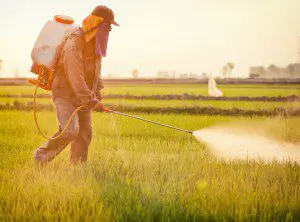 Is Roundup Driving the Autism Epidemic - Leading MIT Researcher Says YES