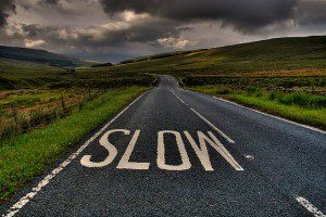 Less is Better - Recipe for a Small Sensitive Planet - Slow Down