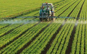 Observational Study Links Monsanto's Roundup to Chronic Kidney Disease 2