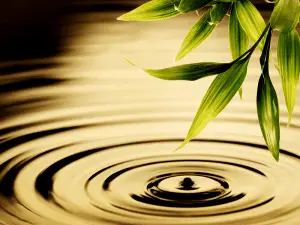 Relationships - Co-Creation, Unification, and Ripples In The Pond