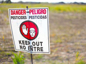 Roundup Ready, Bt-Toxin and GMOs - A Dangerous Trinity That Encourages Gluten Intolerance and Celiac Disease