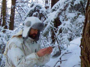 white-wolf-winter1-300x225