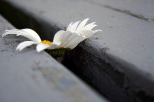Falling-Through-the-Cracks