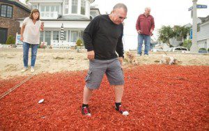 Massive Toxic Algae Bloom Fuels Total Marine Ecosystem Collapse - Mass Die Off in Southern California and Northern Baja