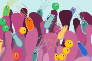 Microflora – Taking Care of Our Inner Tribes