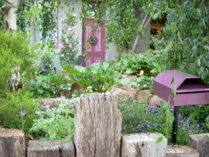 Permaculture – Reconnect with Nature, Supply Your Own Resources 2