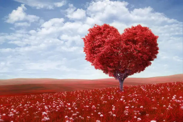 The Remedy Take Love Seriously