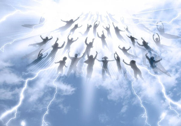 The System is Dying Step Out All You Lightwarriors - Raise Vibrations