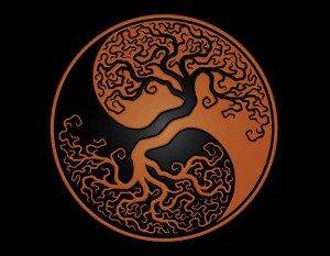 Yin Yang - Deep Personal Wisdom for Personal and Planetary Transformation