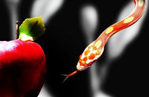9 Solutions for Overcoming Humanity’s Original Distortion