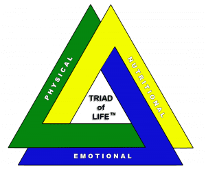 Dr. Michelle Kmiec - The Triad Of Life