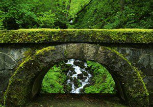 Healing from Within - Nature