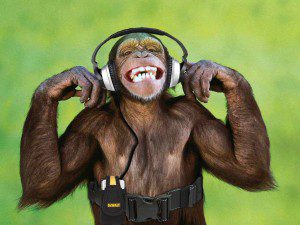 Music Is Love - Animals