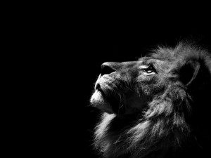 New Moon In Leo – The Voice of Freedom