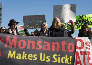 Round Up Ready 1000 Times More Toxic than Glyphosate Alone