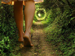 September 2015 - Down The Rabbit Hole of Our Collective Evolution