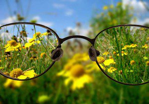 Soothing Vibes for Hectic Living