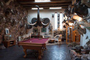 Steve Blomberg - The Lesson of Cecil The Lion: The Evolution of Consciousness vs. The Psychopathy of Trophy Hunting