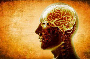 Stress, Brain Wiring, Empathy and Morality
