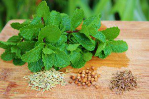 The Top 8 Cooling Spices for Summer - Cooling Spices
