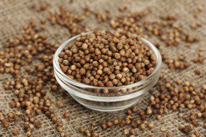 The Top 8 Cooling Spices for Summer - Coriander
