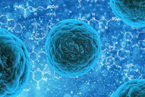 Your-Cells-Are-Listening-How-Talking-To-Your-Body-Can-Help-You-Heal