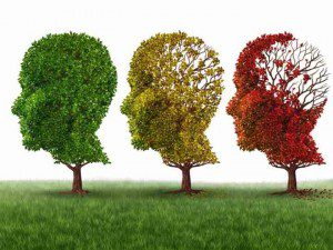 Do Pomegranates Protect Against Neurodegeneration? - Degeneration