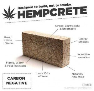Move-Over-Cotton-and-Say-Hello-to-the-‘Forbidden’-Crop-That’s-Taking-the-World-by-Storm-Hempcrete