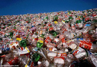 Plastic-Eating Mushroom Discovered in the Amazon Rainforest