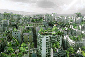 Rooftop Gardening - The World Is Finally Growing Up... Beirut Wonder Forest, Lebanon
