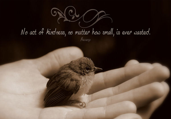 Survival of the Kindest
