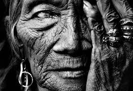 Unleashing Wild Women and the Sacred Feminine to Transform the World - Wild Woman