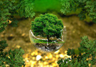 Becoming Multidimensional - Entering the Dreamspace