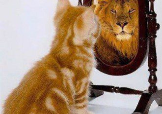 Conditioning and Belief as Perceptual Filters