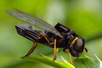 From RoboCop to RoboBees - Is This The World You Want To See