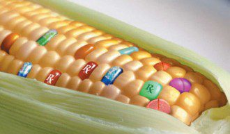 GMO Cookie is Crumbling - FB