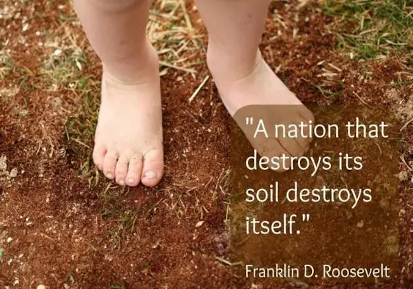 How GMOs and Glyphosate Impact Soil Biology
