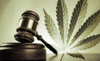 Mexico Rules Consumption and Cultivation of Cannabis Is A Fundamental Human Right