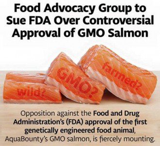 FDA Approves Genetically Engineered Salmon - Here's What You Need To Know - Lawsuit against FDA