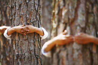 New Study Shows Regular Contact with Nature Reduces Crime, Increases Social Cohesion 1