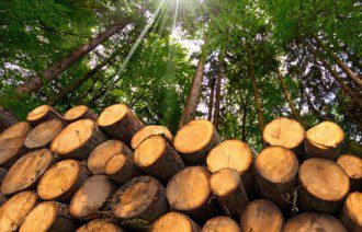 Sustainable Development is a Lie